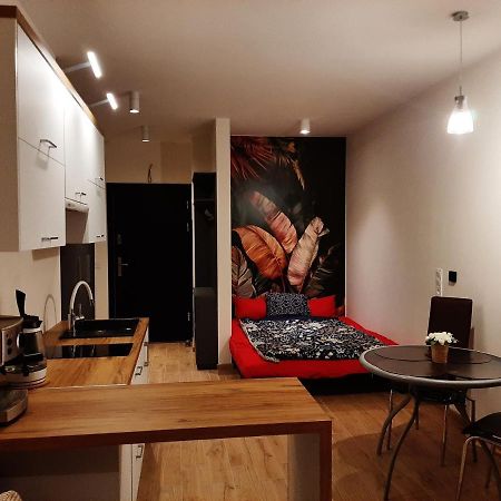 Apartament Pod Szyndzielnia, Debowiec Bielsko-Biała Exterior photo