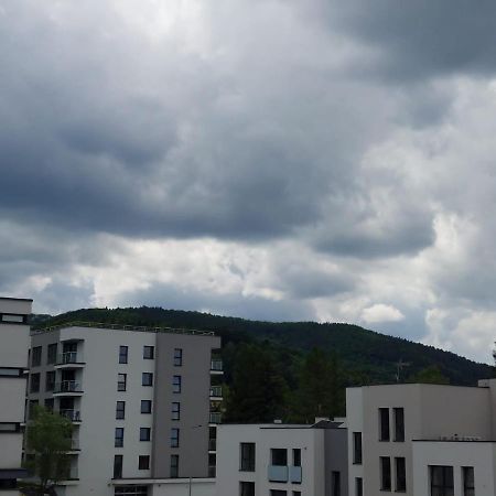 Apartament Pod Szyndzielnia, Debowiec Bielsko-Biała Exterior photo