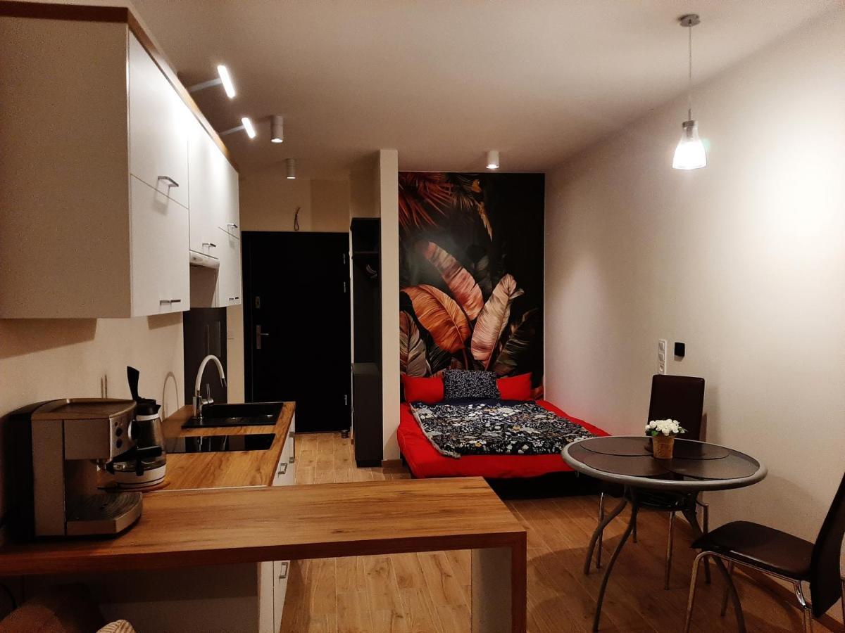 Apartament Pod Szyndzielnia, Debowiec Bielsko-Biała Exterior photo