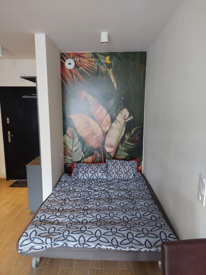 Apartament Pod Szyndzielnia, Debowiec Bielsko-Biała Exterior photo
